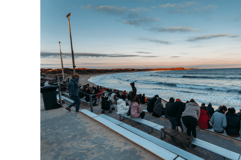 De Melbourne: excursion d'une journée complète à la parade des pingouins de Phillip Island