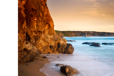 Van Melbourne: Phillip Island Penguin Parade-dagtour