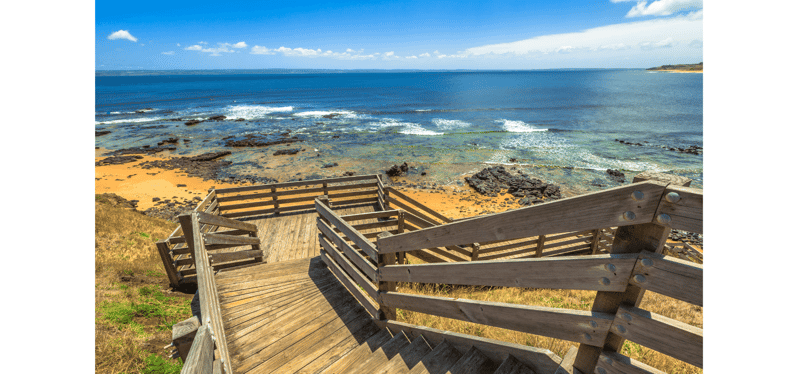 phillip island day tour chinese