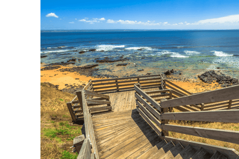 Von Melbourne aus: Phillip Island Penguin Parade Ganztagestour