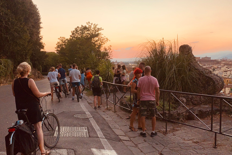 Florence : visite guidée à vélo de 2,5 heures