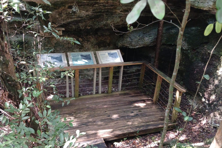 Guided Primeval Nature Walk Tour