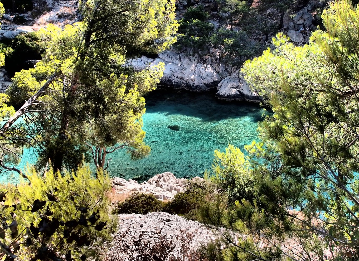 Cassis: Tur i havkajak i Calanques Nationalpark