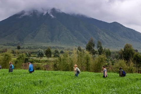 Ancient Kings, Buhanga Sacred Forest & Musanze Caves Tour