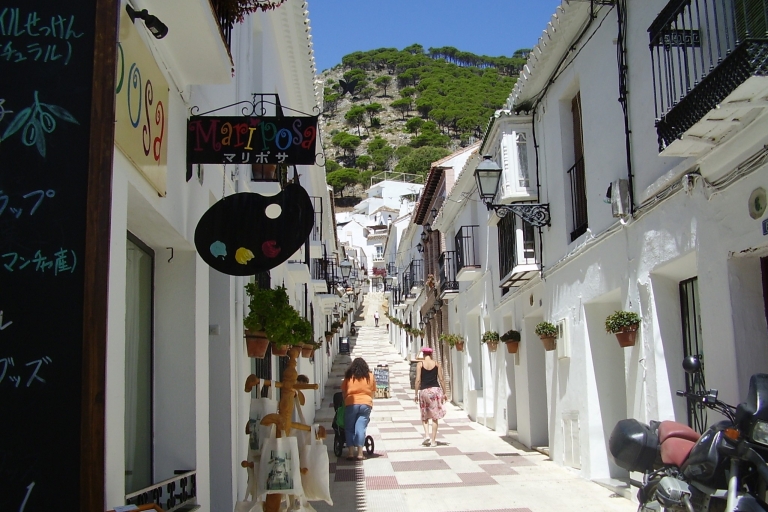 Von Malaga aus: Privater Tagesausflug nach Las Mijas