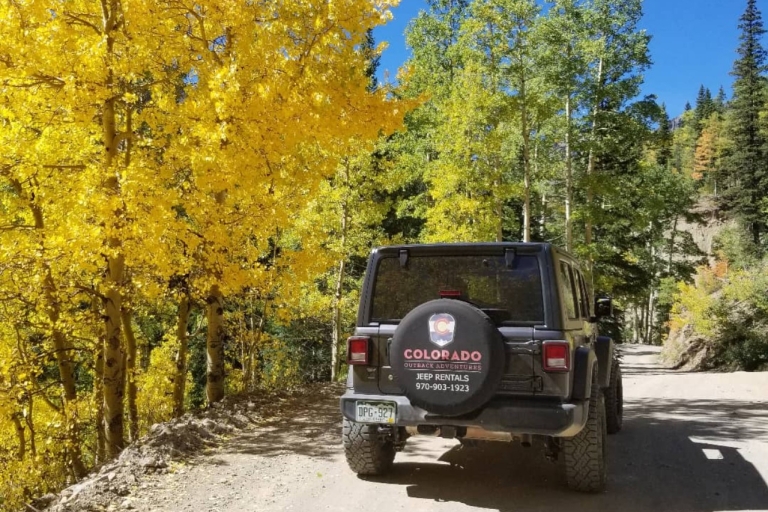Durango: Renta de Jeep Todo Terreno con Mapas y RecomendacionesEdición Jeep Willy de 4 puertas