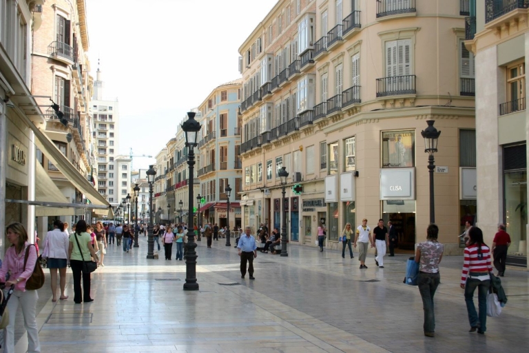 Málaga: recorrido privado por la plaza de la Merced y el centro de la ciudadMálaga: tour privado a pie por la ciudad