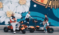 Dallas, Downtown E-Scooter Giro turistico e storico - Hizvo