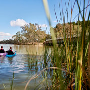 Barossa: Self Guided Kayak Tour