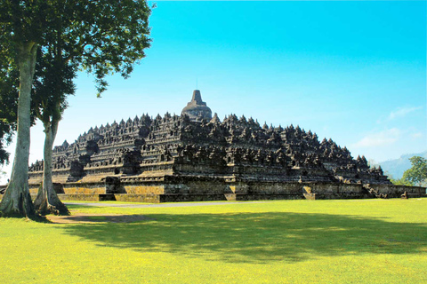 De Yogyakarta: excursão de meio dia ao nascer do sol em Borobudur com coletaYogyakarta: Setumbu Hill Sunrise e Borobudur Temple Tour