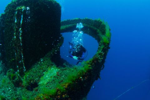 Gold Coast Reef and Wreck Scuba Diving Tour