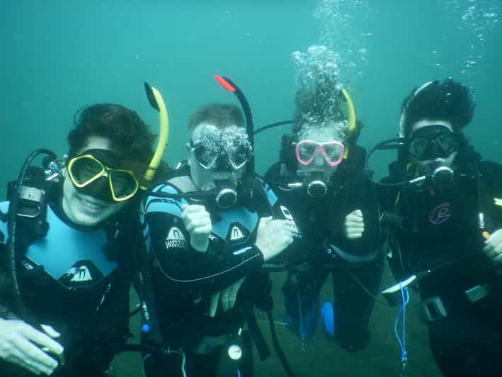 Gold Coast Reef and Wreck Scuba Diving Tour GetYourGuide