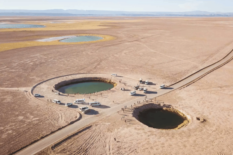 Desierto de Atacama: Refrescante Flotación en Laguna Cejar y Puesta de Sol