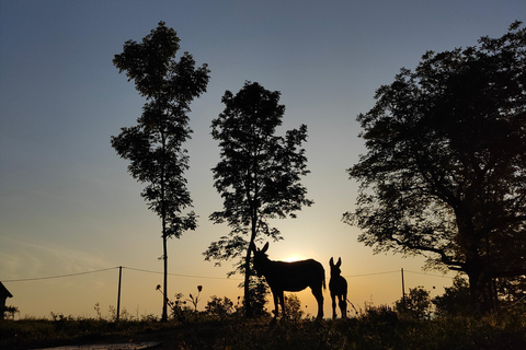 Plitvice: Horseback Riding Tour with Cave Entry Ticket Ride to Barać Caves (Half‑day Horseback Tour)