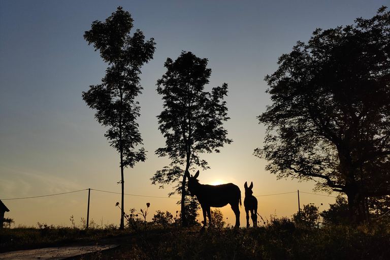 Plitvice: Horseback Riding Tour with Cave Entry Ticket Ride to Barać Caves (Half‑day Horseback Tour)