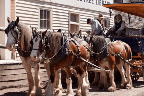 Van Melbourne: Sovereign Hill Gold Mining Town-dagtrip