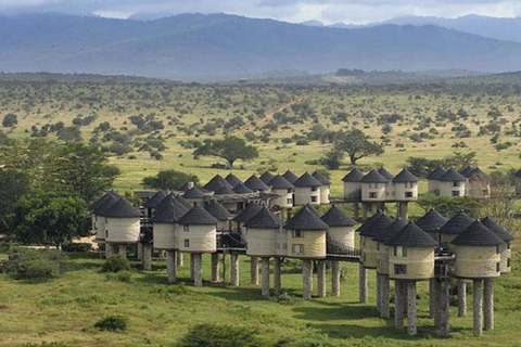 Mombasa: 5-Day Safari- Amboseli, SaltLick, Ziwani & Ngutuni