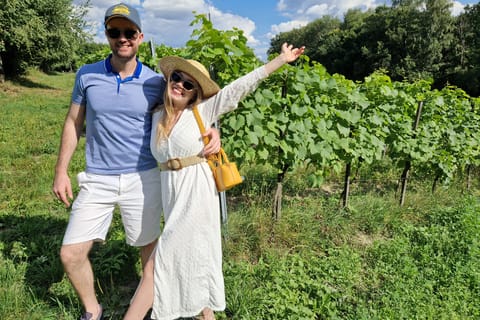 From Krakow: Wine Tasting at Vineyard