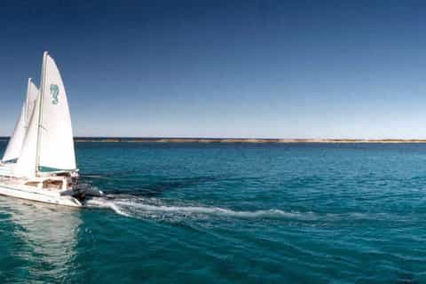 Nassau: Catamaran Sail and Snorkel Tour