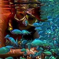 Nassau, Katamaran Sail und Schnorcheltour - Hizvo