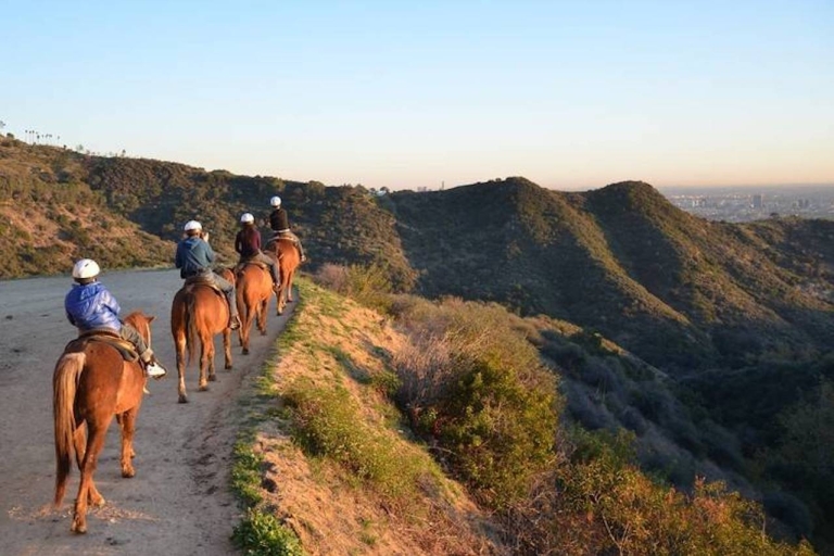 Los Angeles: 2-Hour Hollywood Trail Horseback Riding Tour 2-Hour Mt Hollywood Trail Sunset Tour