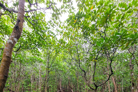 Zanzibar: Jozani Forest National Park Guided Tour Two persons