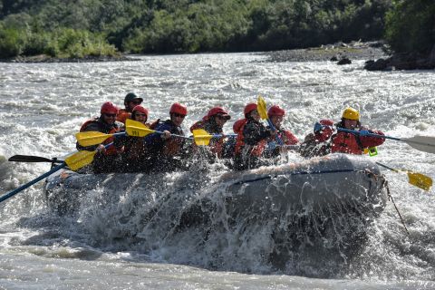 Healy: Oar or Paddle Canyon Class IV Whitewater Rafting Trip