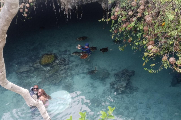 JOZANI FOREST/SEA TURTLE SANCTUARY/MTENDE BEACH