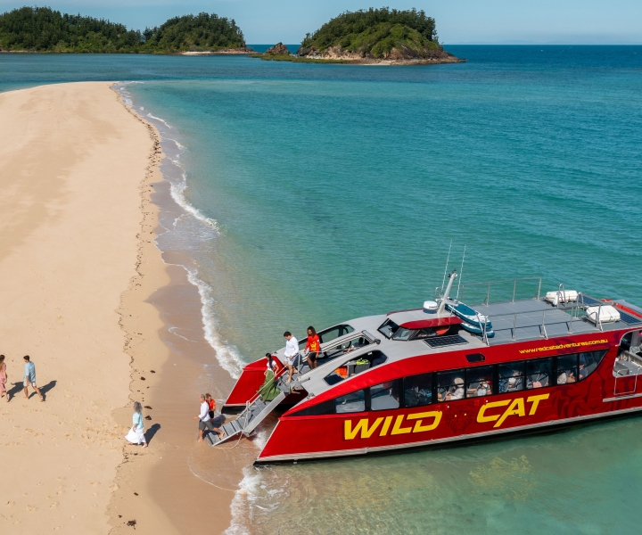 Mackay: Full Day Island Boat Tour on the Great Barrier Reef