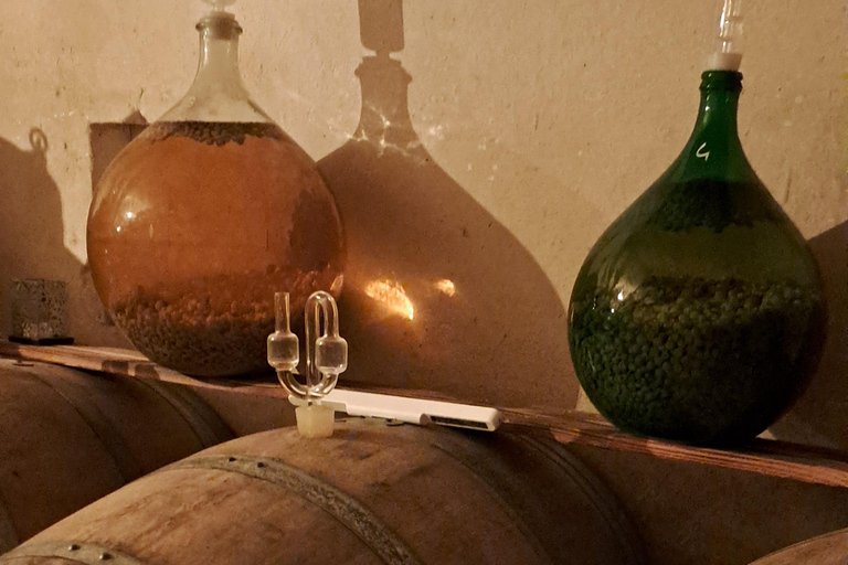 Introduction to Loire Anjou Wines - Afternoon tour