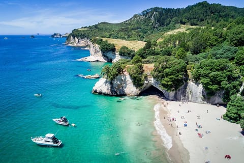 Auckland: Cathedral Cove & Hot Water Beach Tour with Lunch - Image 2