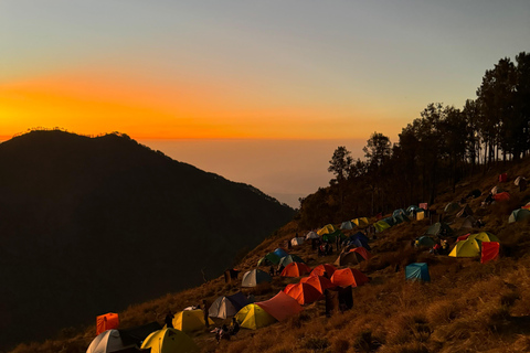 Lombok: 3-Tage-Wanderung am Mount Rinjani mit heißen QuellenLombok: 3-tägige Wanderung zum Mount Rinjani mit heißen Quellen