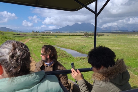 Cape Town: Wildlife Sanctuary and Wine Tour