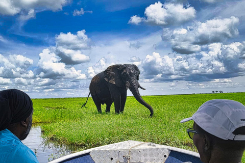 Chobe Express River Safari + Pickup