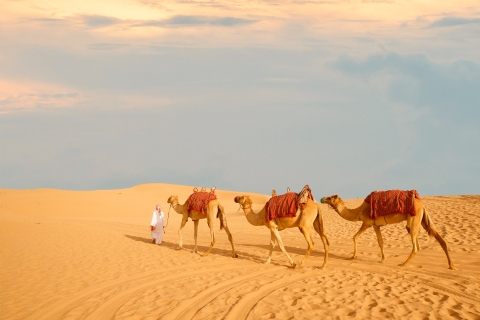 Desde Abu Dhabi: Dune Bashing Desert SafariSafari nocturno con coche compartido