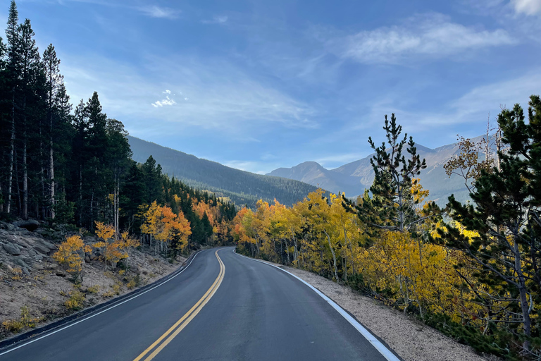 Estes Park: Guided Elk Rut Tour Ruttin' Around Elf Viewing Guided Tour