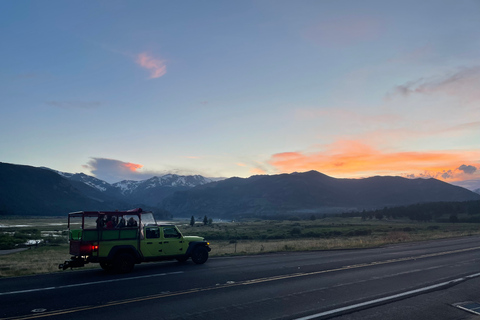 Estes Park: Guided Elk Rut Tour Ruttin' Around Elf Viewing Guided Tour