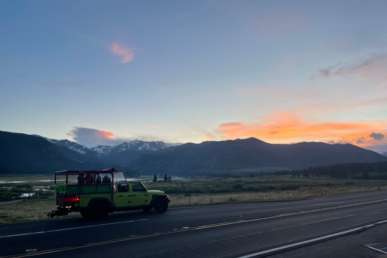 Estes Park: Guided Elk Rut Tour Ruttin' Around Elf Viewing Guided Tour