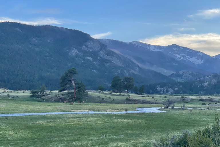 Estes Park: Guided Elk Rut Tour Ruttin' Around Elf Viewing Guided Tour
