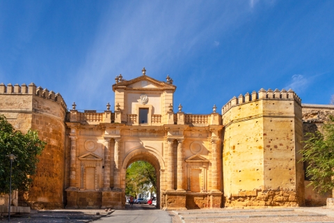 From Malaga: Córdoba Private Day Trip and La Mezquita