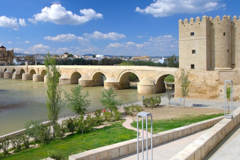 Von Malaga aus: Privater Tagesausflug nach Córdoba und La Mezquita