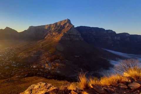 Cape Town: Lion's Head Sunrise or Sunset Hike Sunrise or Sunset Hike with Drop-Off