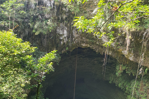 From Yogyakarta: Explore Jomblang Cave