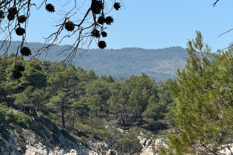 From Thessaloniki: Sithonia East Coast Private Day Trip to Sithonia