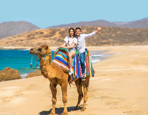 Visit Los Cabos Desert Camel and ATV Ride with Tequila Tasting in San José del Cabo