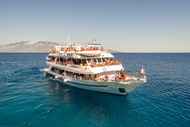 Zakynthos: Cruise to Navagio Shipwreck with swimming stops