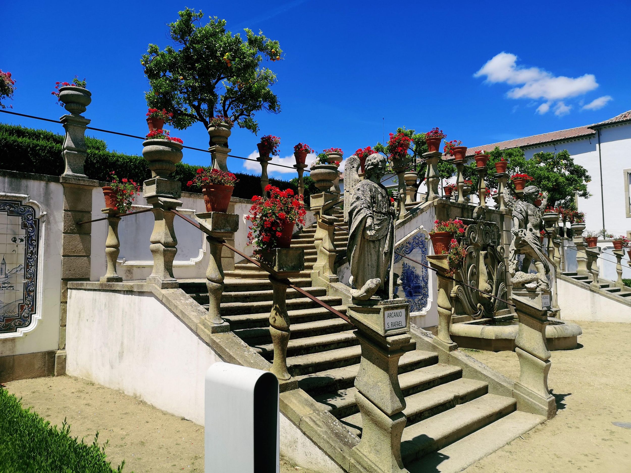 Castelo Branco: Kultur und Geschichte Geführte Tour mit Museen