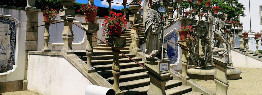 Castelo Branco : visite guidée de la culture et de l'histoire avec les musées