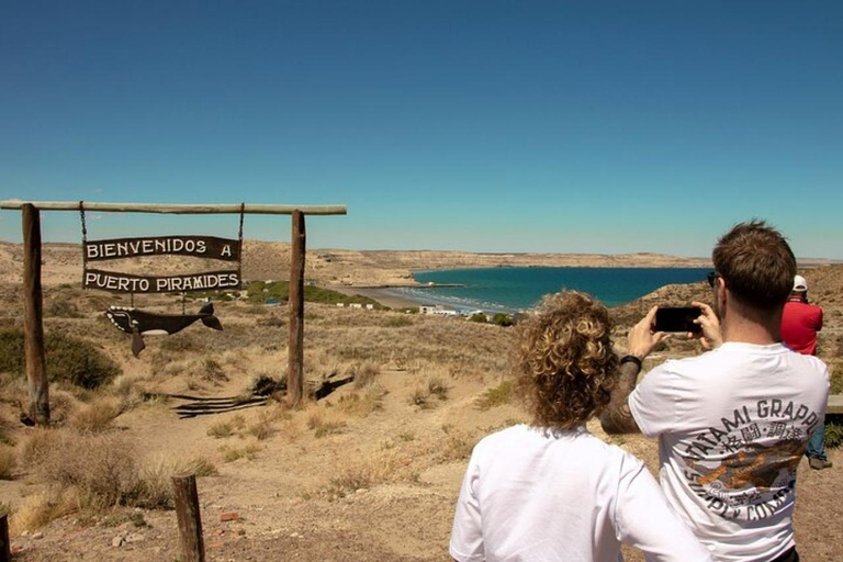 Peninsula Valdes Shore Tour for Cruise Passengers + City