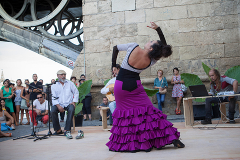 Seville: Enjoy a class of approach to flamenco